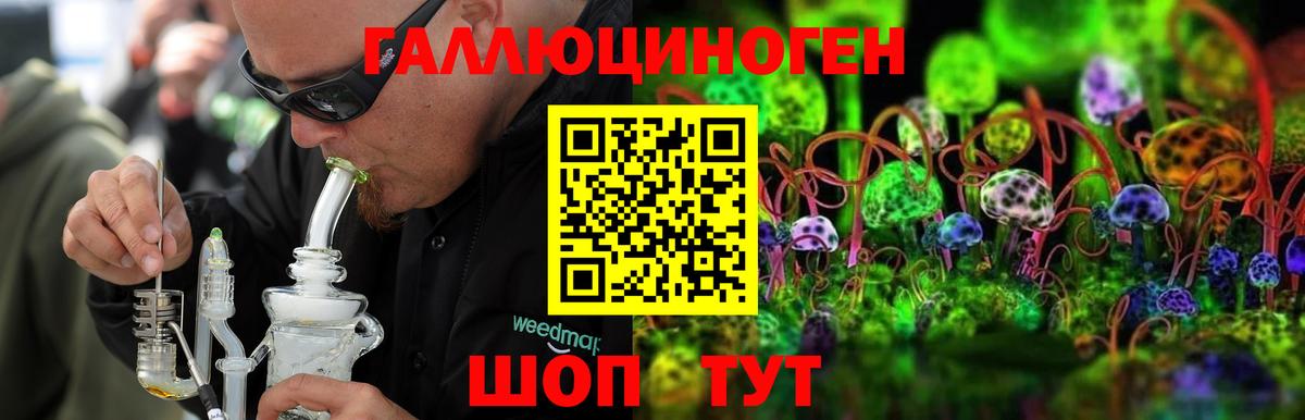Соль-Илецк  Псилоцибиновые грибы Psilocybine cubensis  Вход с VPN 
